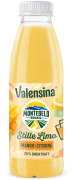 Produktbild für Mango - Zitrone